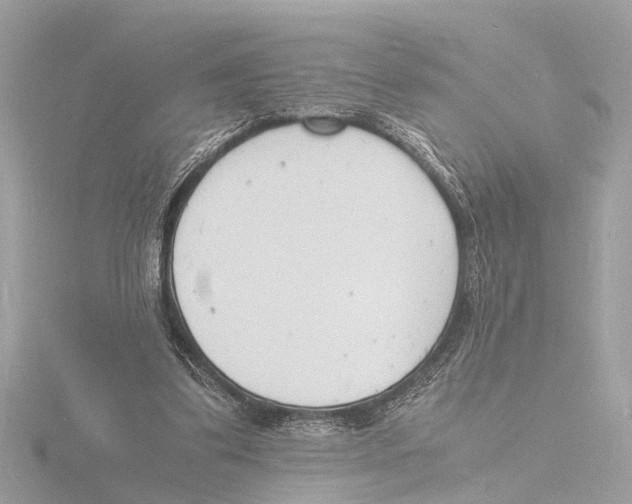 X0000116140299200912211454