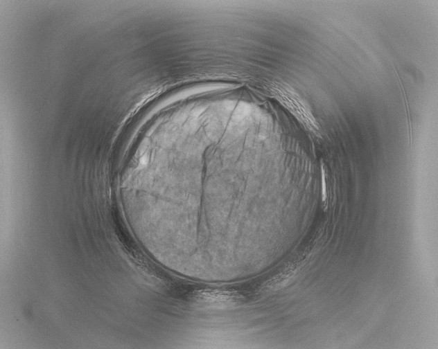 X0000116140300200912211454