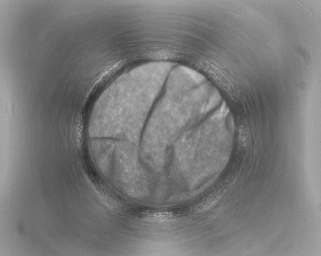 X0000116140304200912211454