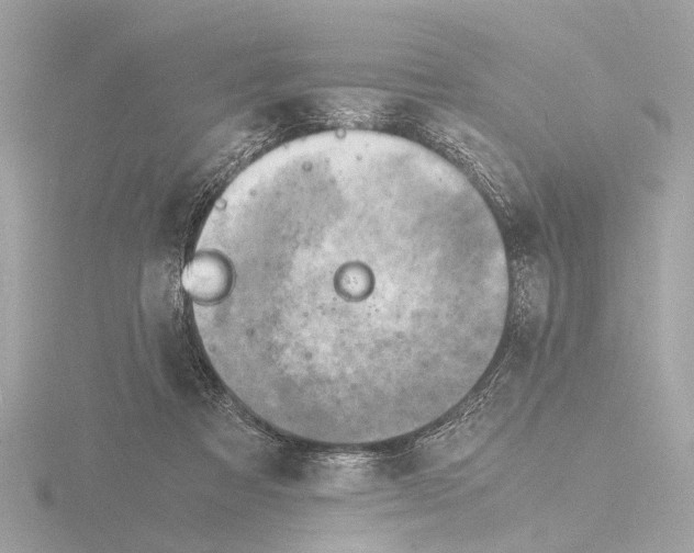 X0000116140313200912211454