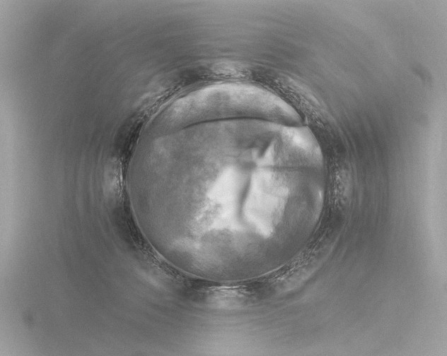 X0000116140320200912211454