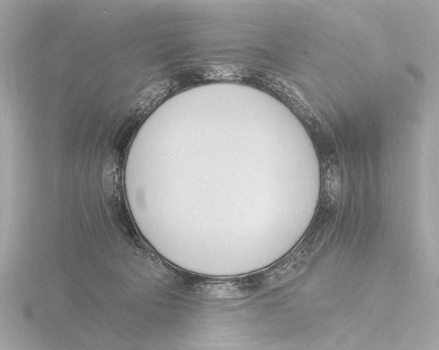 X0000116140322200912211454