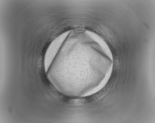 X0000116140323200912211454