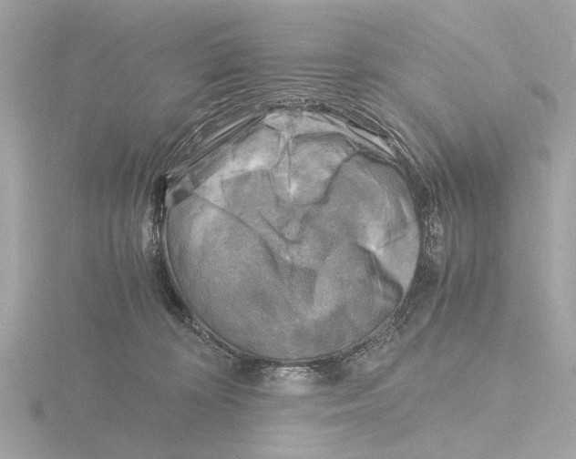 X0000116140324200912211454