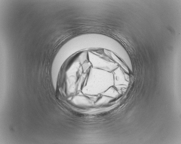 X0000116140325200912211454