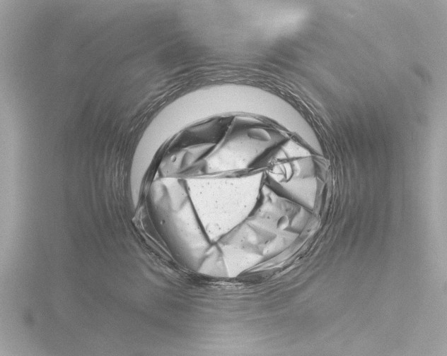 X0000116140328200912211454