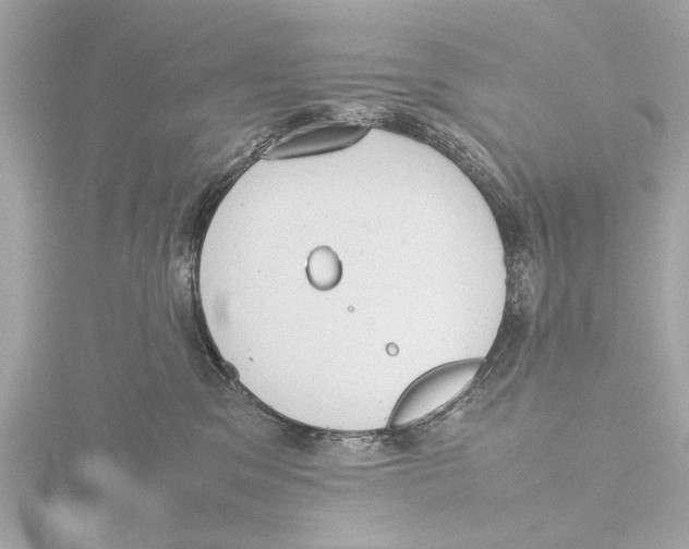 X0000116140329200912211454