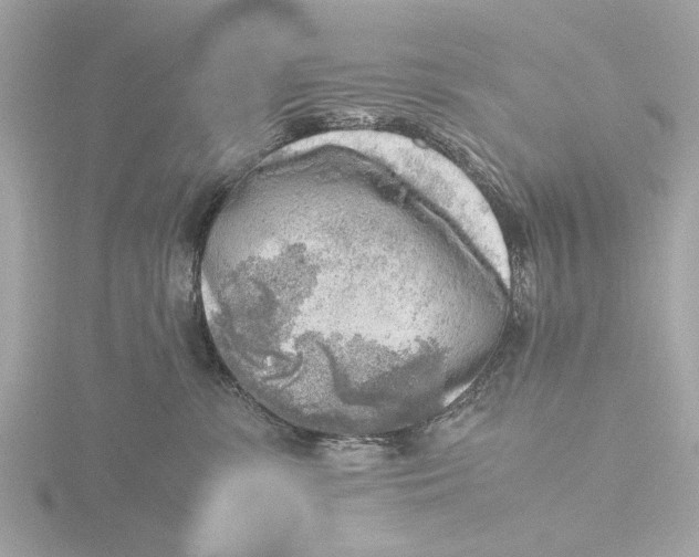 X0000116140331200912211454