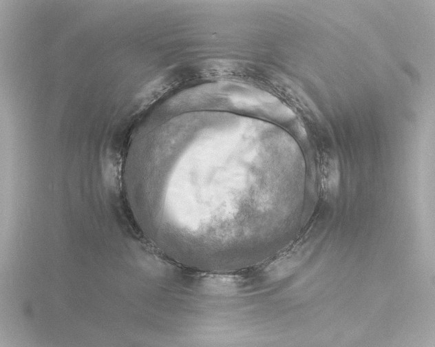 X0000116140332200912211454