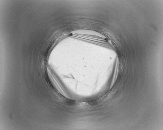 X0000116140333200912211454