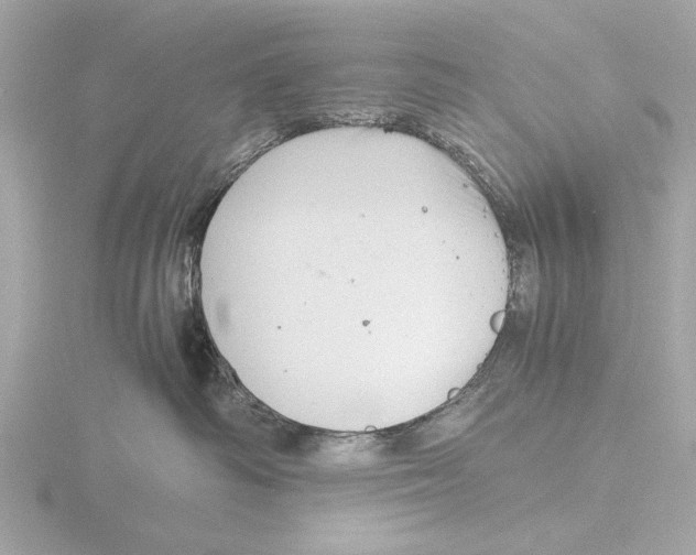 X0000116140334200912211454