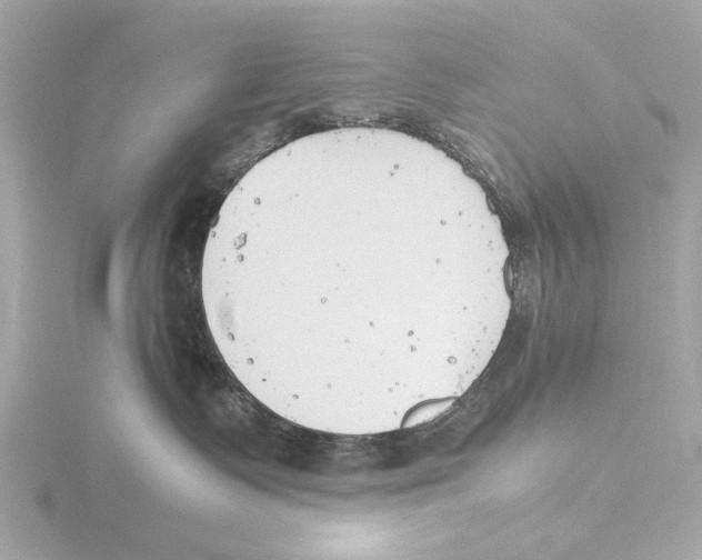 X0000116140335200912211454