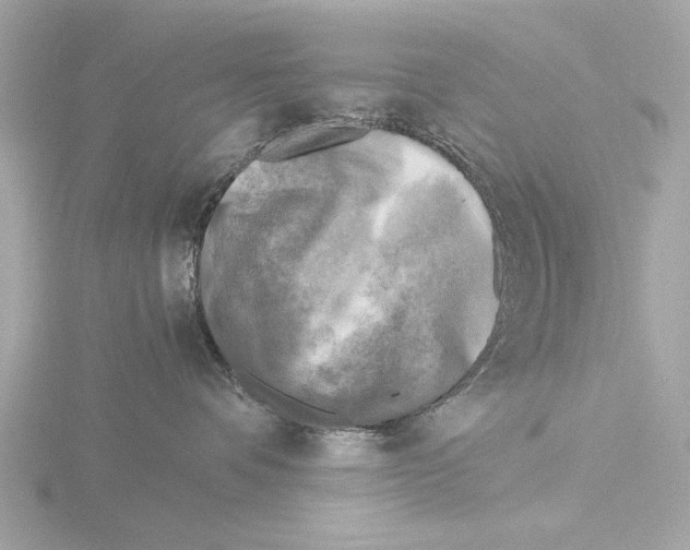 X0000116140336200912211454