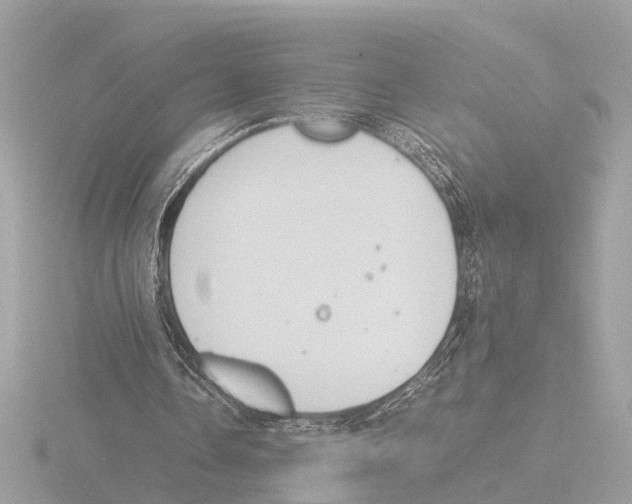 X0000116140338200912211453