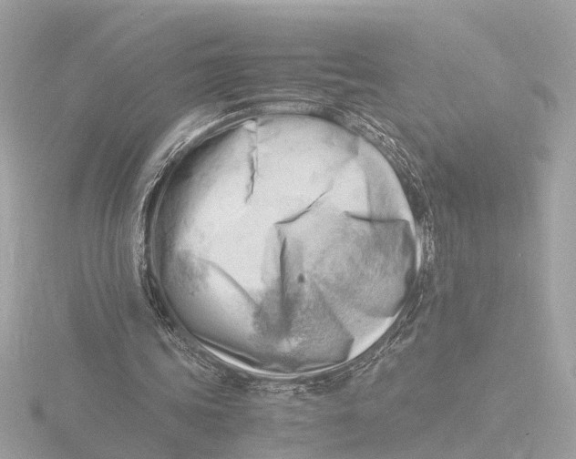 X0000116140339200912211453