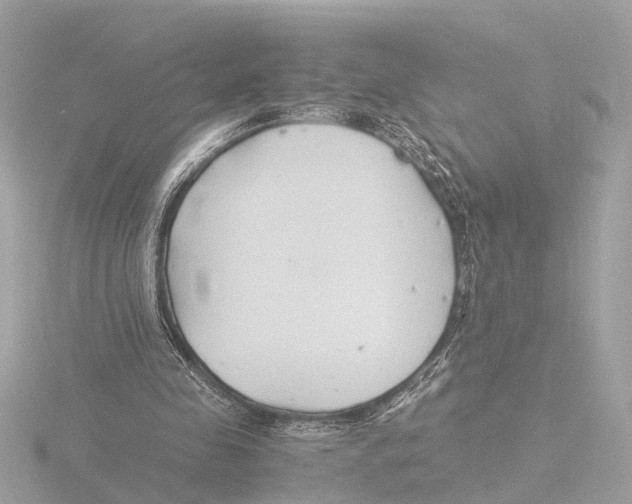 X0000116140341200912211453