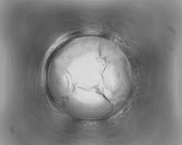 X0000116140343200912211453