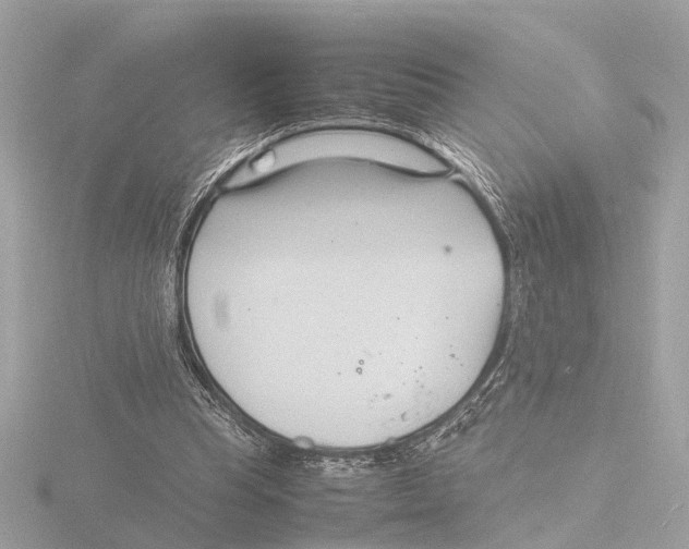 X0000116140345200912211453