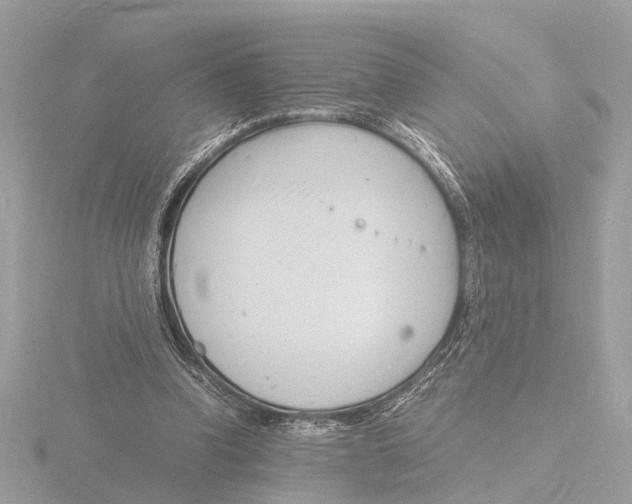 X0000116140346200912211453