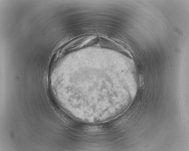 X0000116140349200912211453