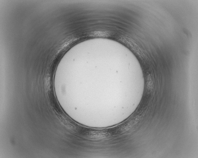 X0000116140351200912211453