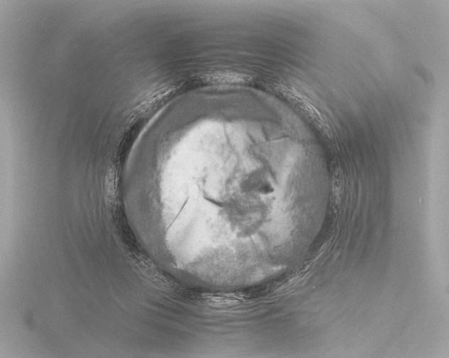 X0000116140359200912211453