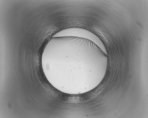 X0000116140362200912211453