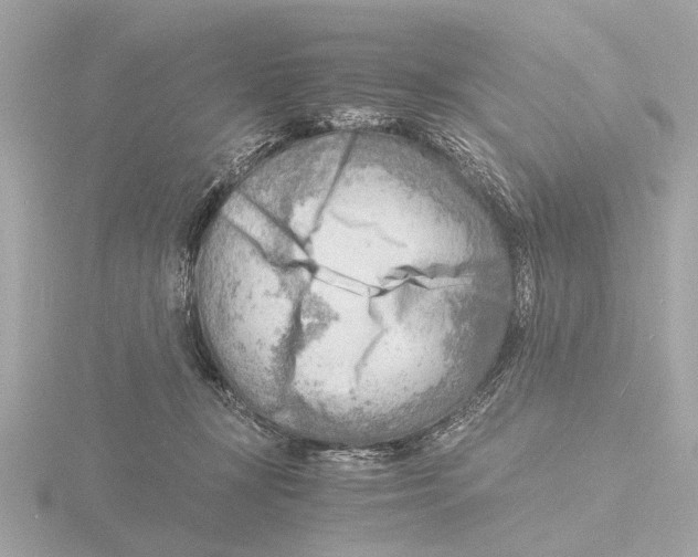 X0000116140367200912211453