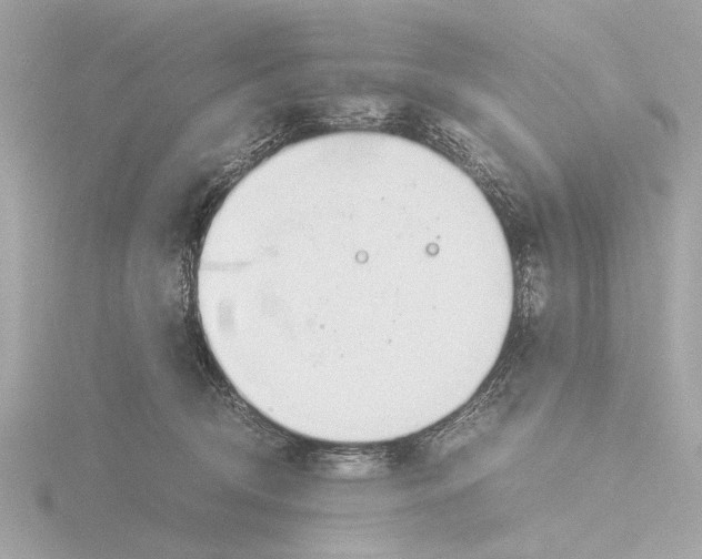 X0000116140370200912211453