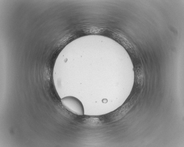 X0000116140374200912211453