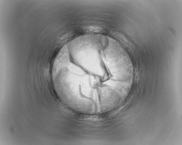 X0000116140377200912211453