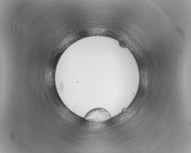 X0000116140378200912211454