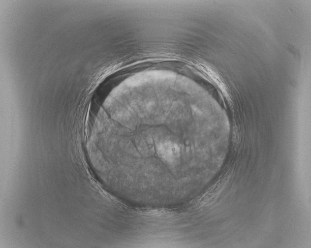 X0000116140385200912211453