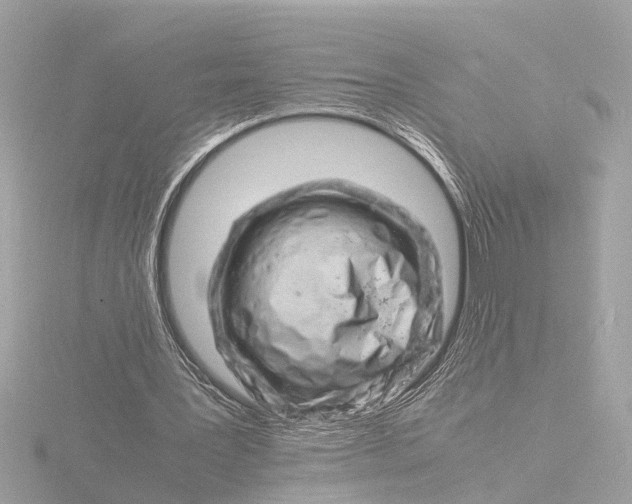 X0000116140387200912211453