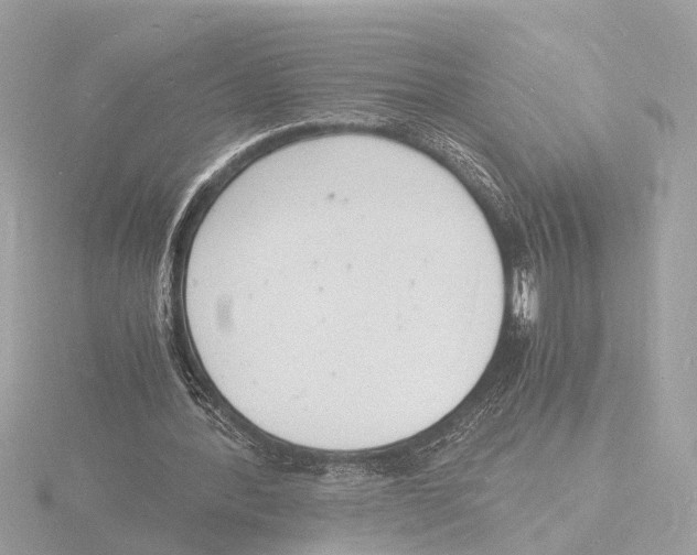 X0000116140388200912211453