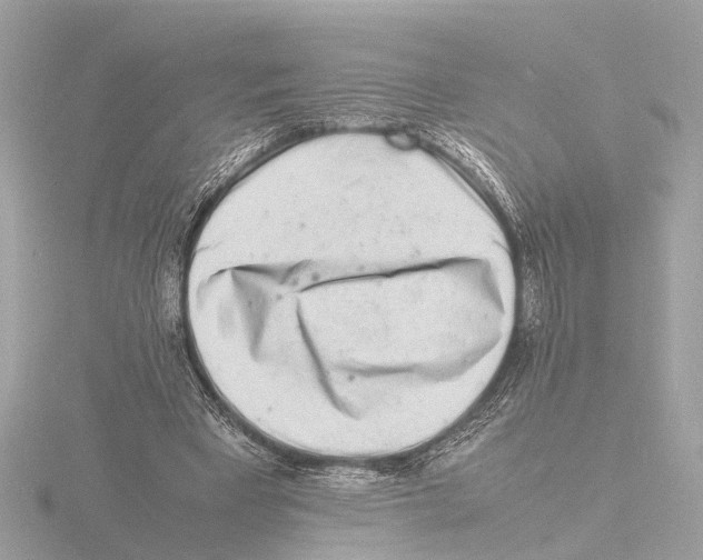 X0000116140393200912211453