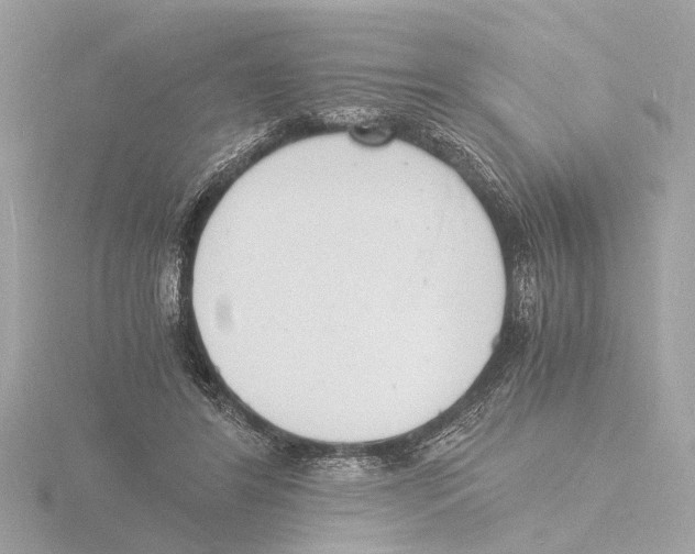 X0000116140404200912211452