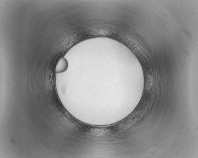 X0000116140414200912211452