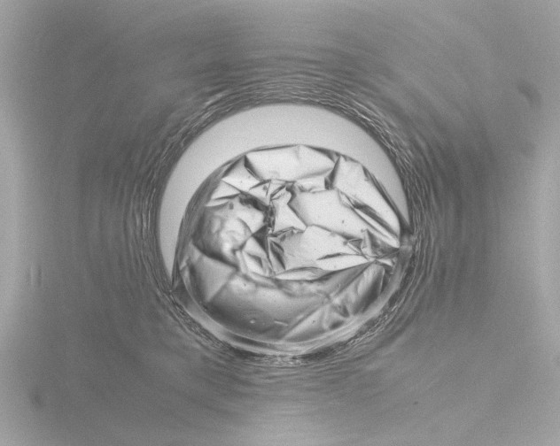 X0000116140421200912211452