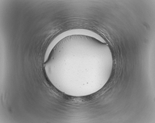 X0000116140423200912211452