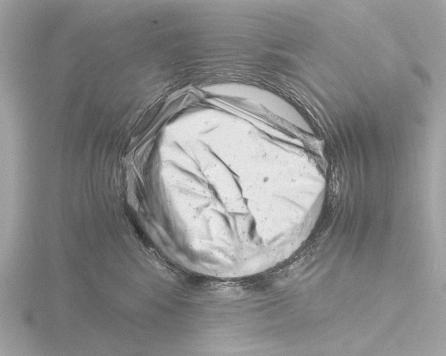 X0000116140424200912211452