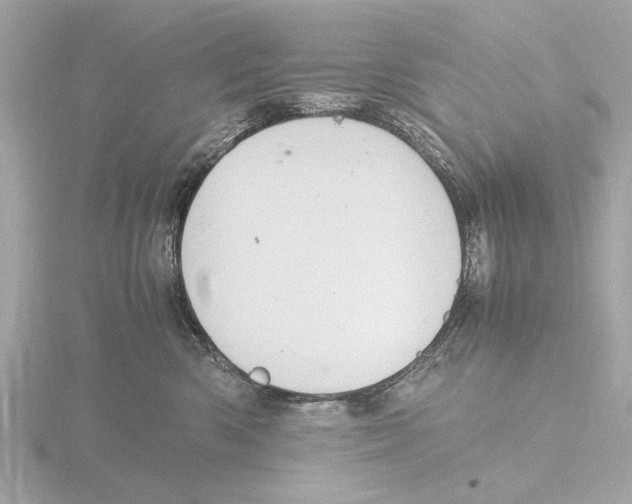 X0000116140426200912211452