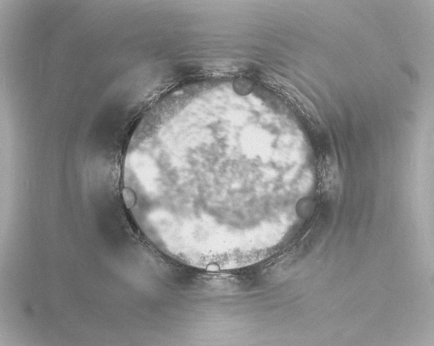 X0000116140427200912211452