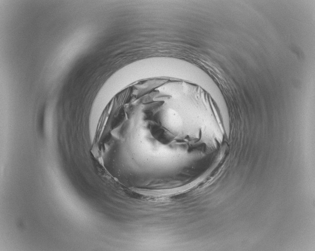 X0000116140429200912211452