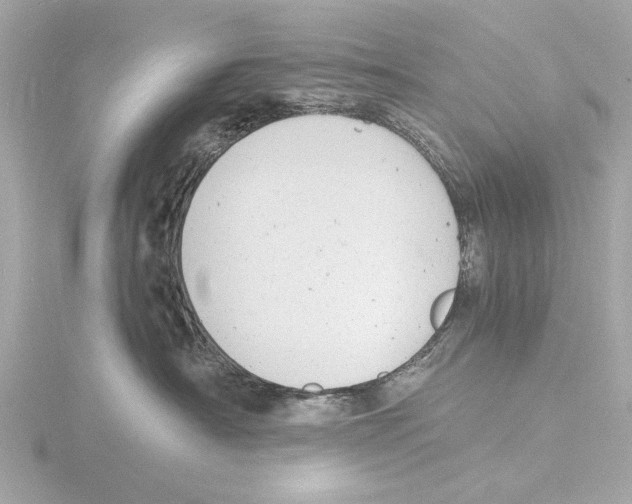 X0000116140430200912211452