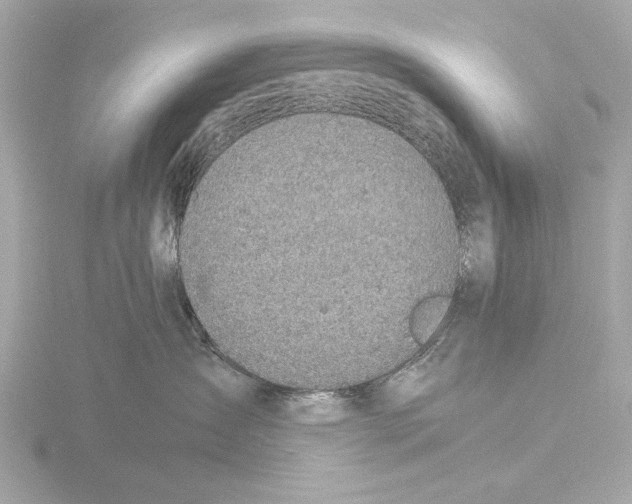 X0000116140431200912211452