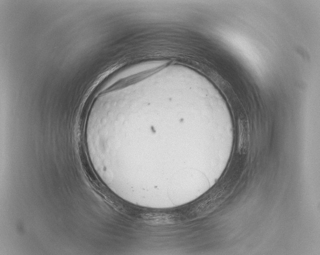 X0000116140435200912211451