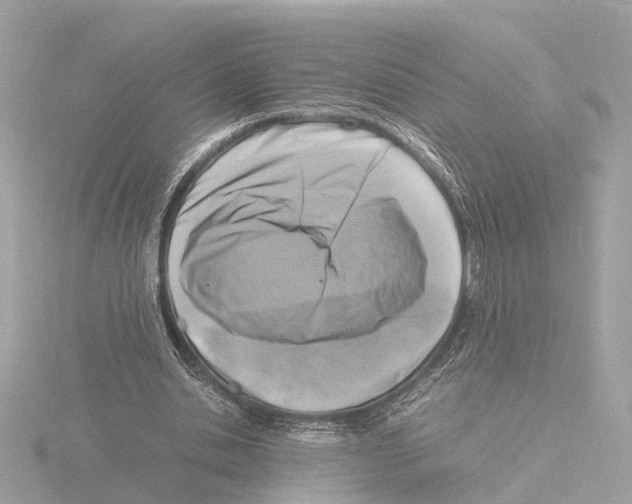 X0000116140438200912211451