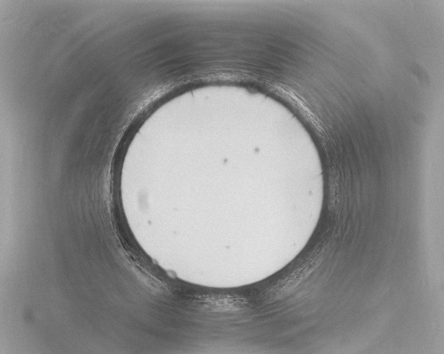 X0000116140439200912211451