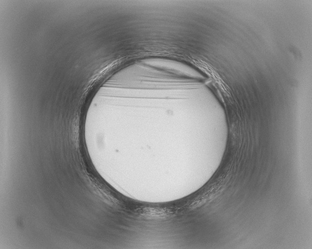 X0000116140442200912211451